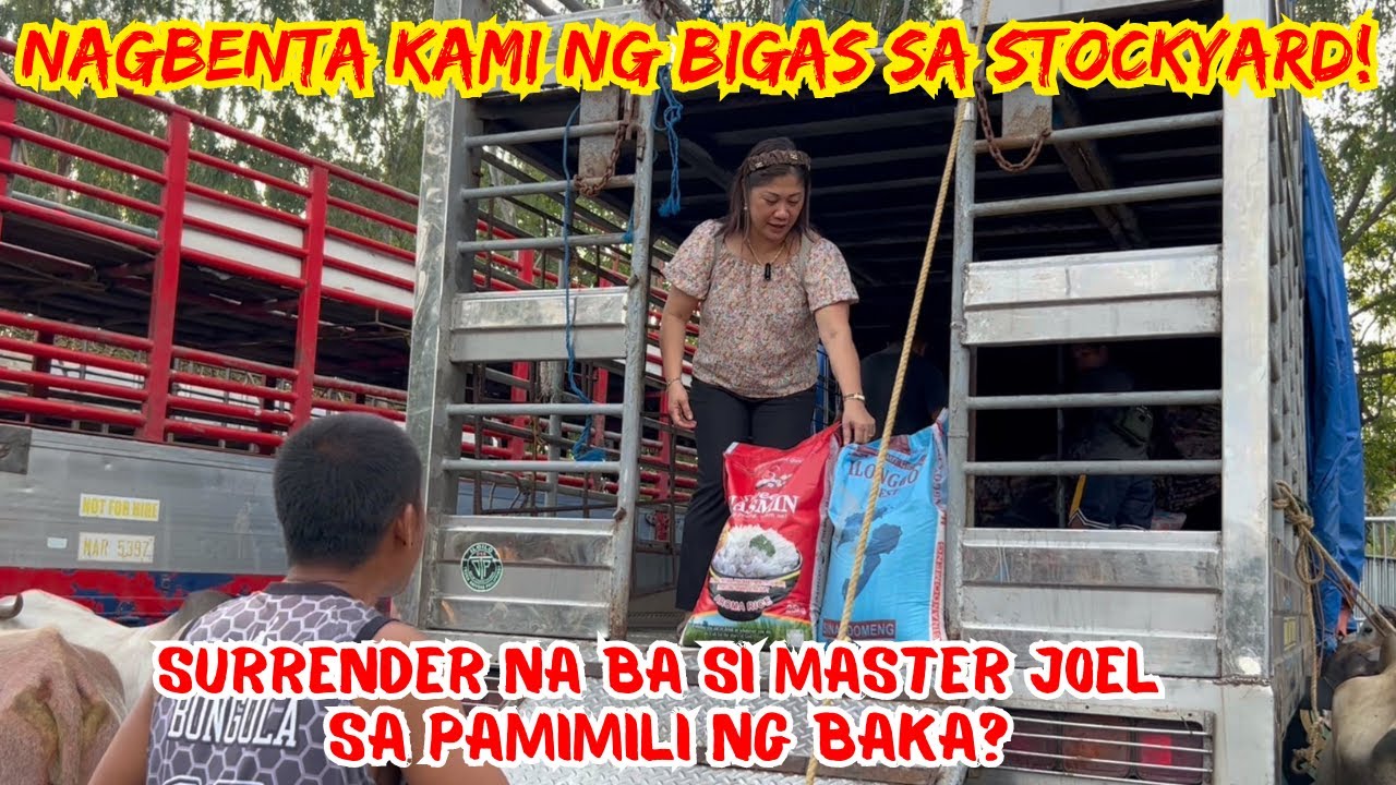 NAGBENTA KAMI NG BIGAS SA STOCKYARD | SURRENDER NA BA SI MASTER JOEL SA PAMIMILI NG BAKA? |SOLLE'S G