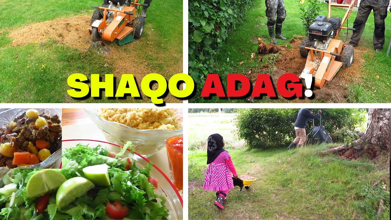 MARTI BADAN AYAA NOO IMAATAY! SHAQO BADANA WAA NALOO QABTAY!