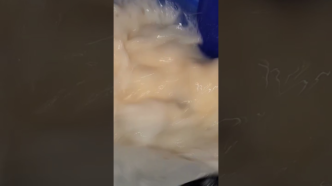 Making bubble hash from outdoor cannabis with the bubblebag dude washer and bubble bags