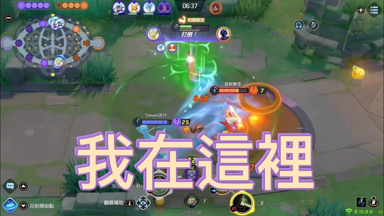 這次來玩葉伊布