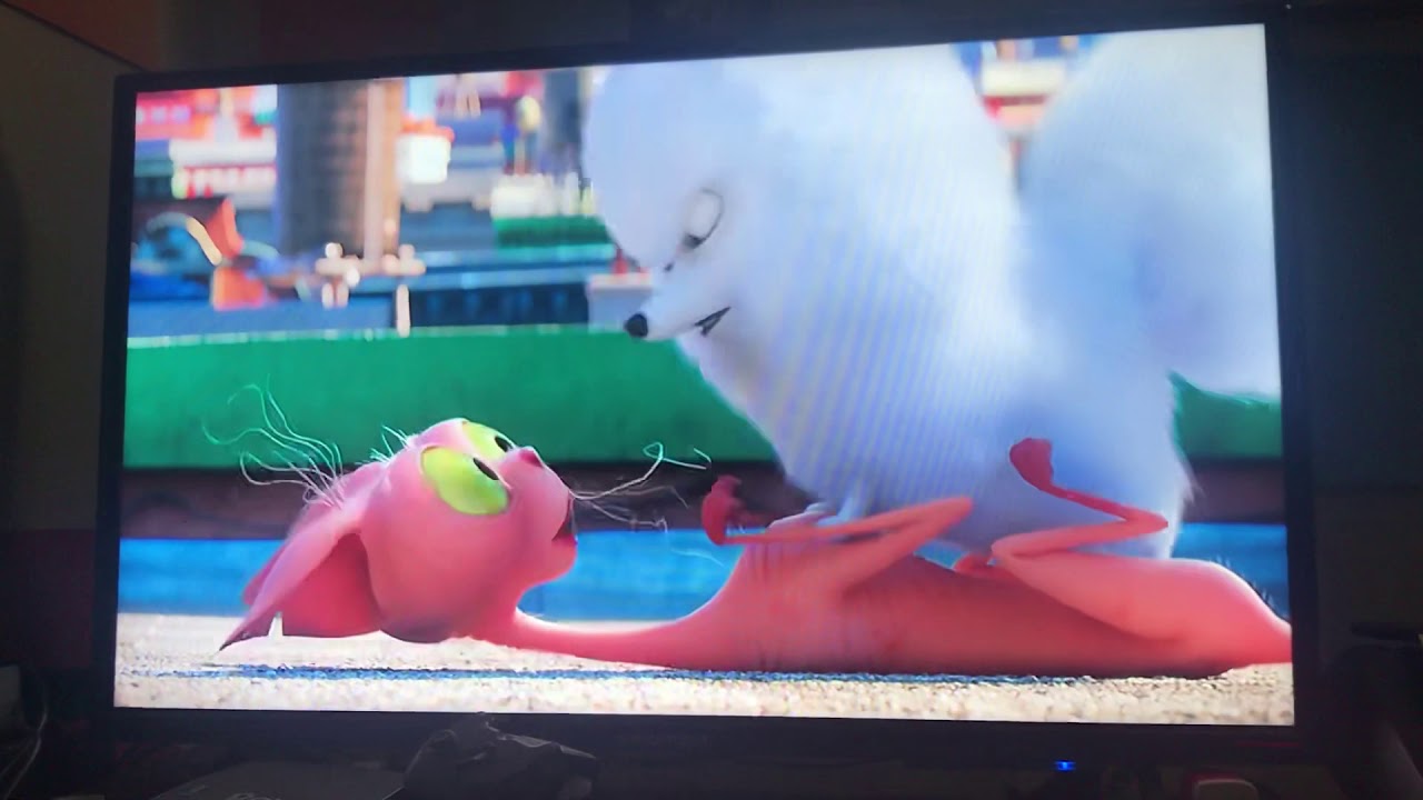 Where is max reaction