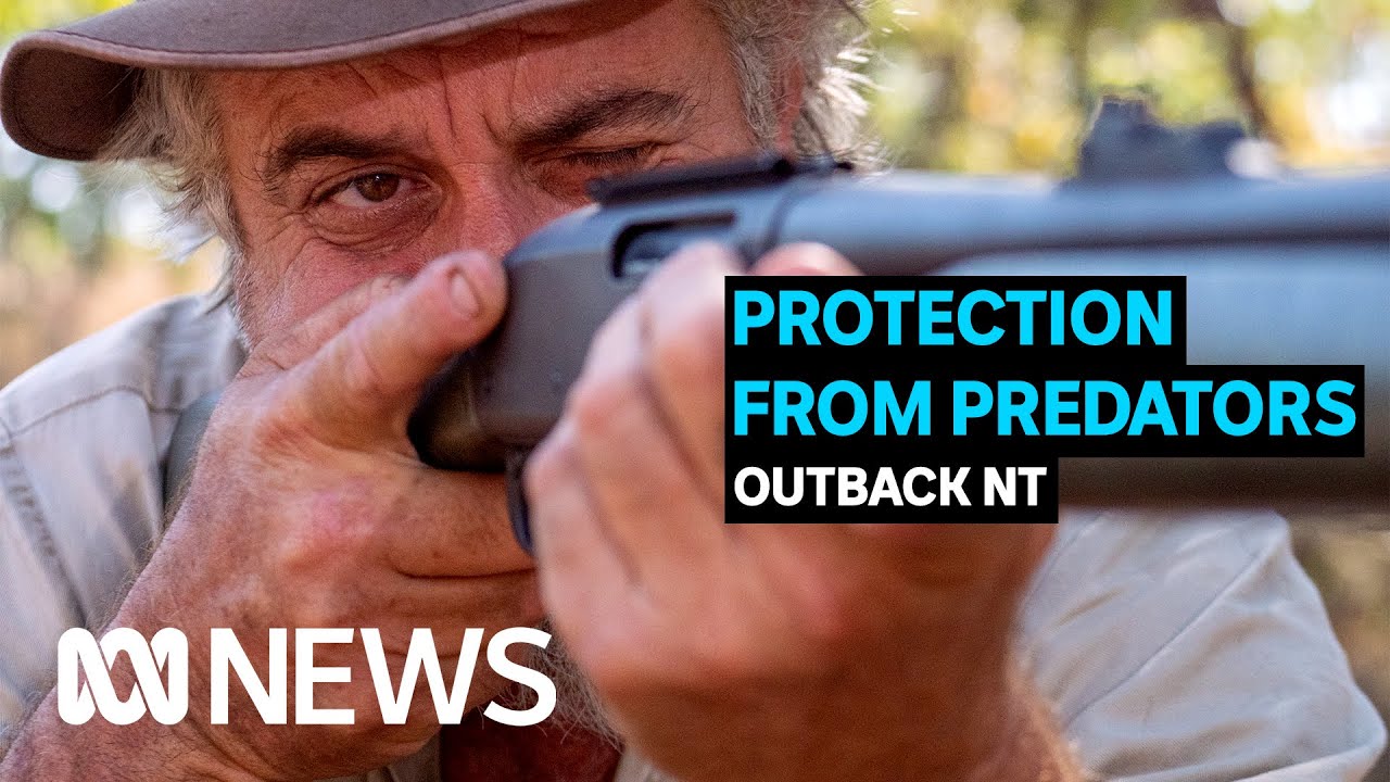 Is this the most dangerous job in Australia? | ABC News