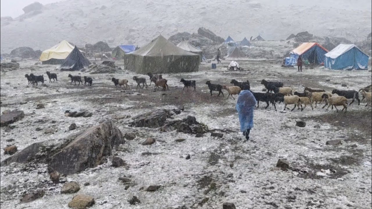 Life in the Coldest Himalayan Region of Mid-Western Nepal | Surviving a Freezing Winter Day