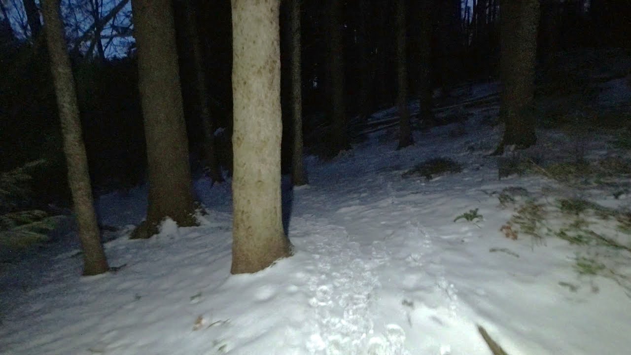 Walking Through the Woods Alone on a Winter Night