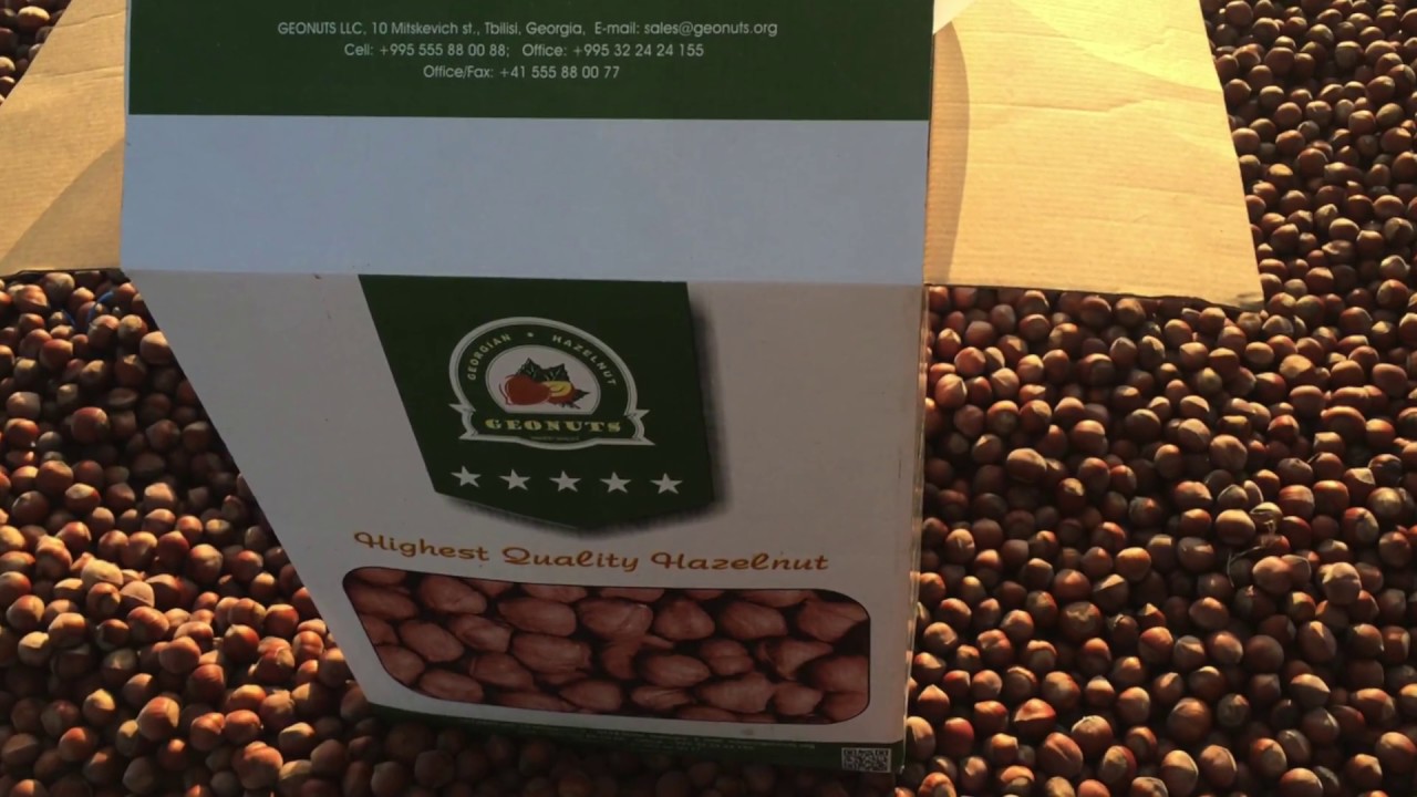 2017 Crop Hazelnut  | Georgian Hazelnut Company