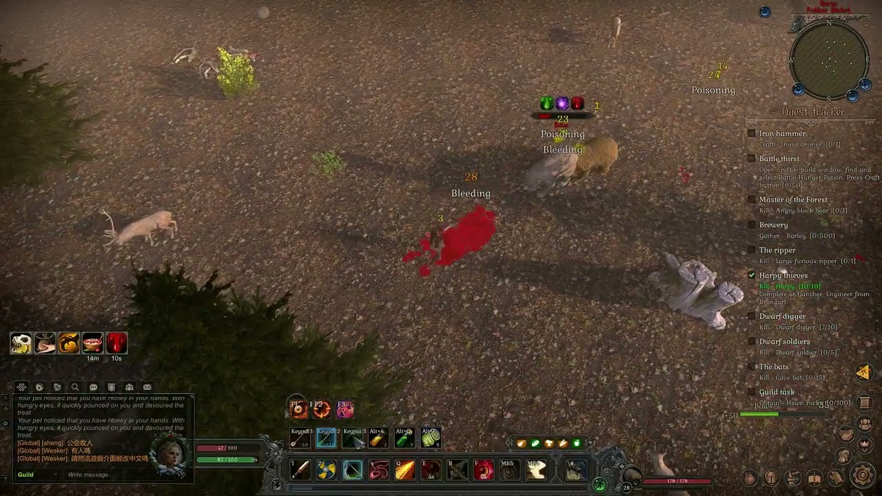 How to Solo a bear in light armor.