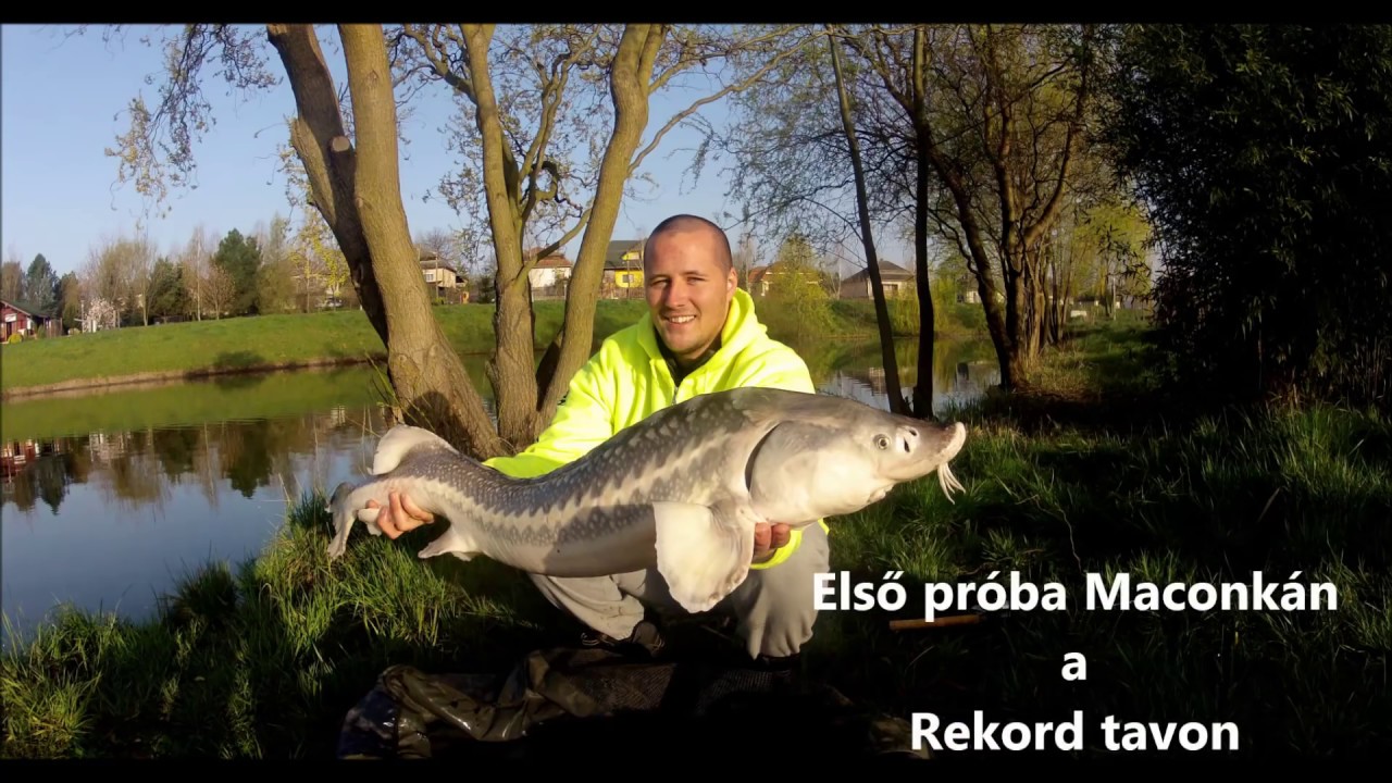 Stég Product a Maconkai rekord tavon!