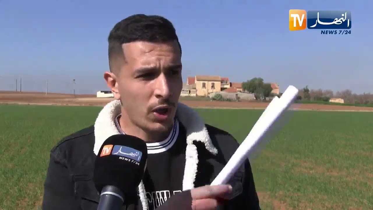 سيدي بلعباس: زراعة البقوليات ..  إنتاج وفير واكتفاء ذاتي