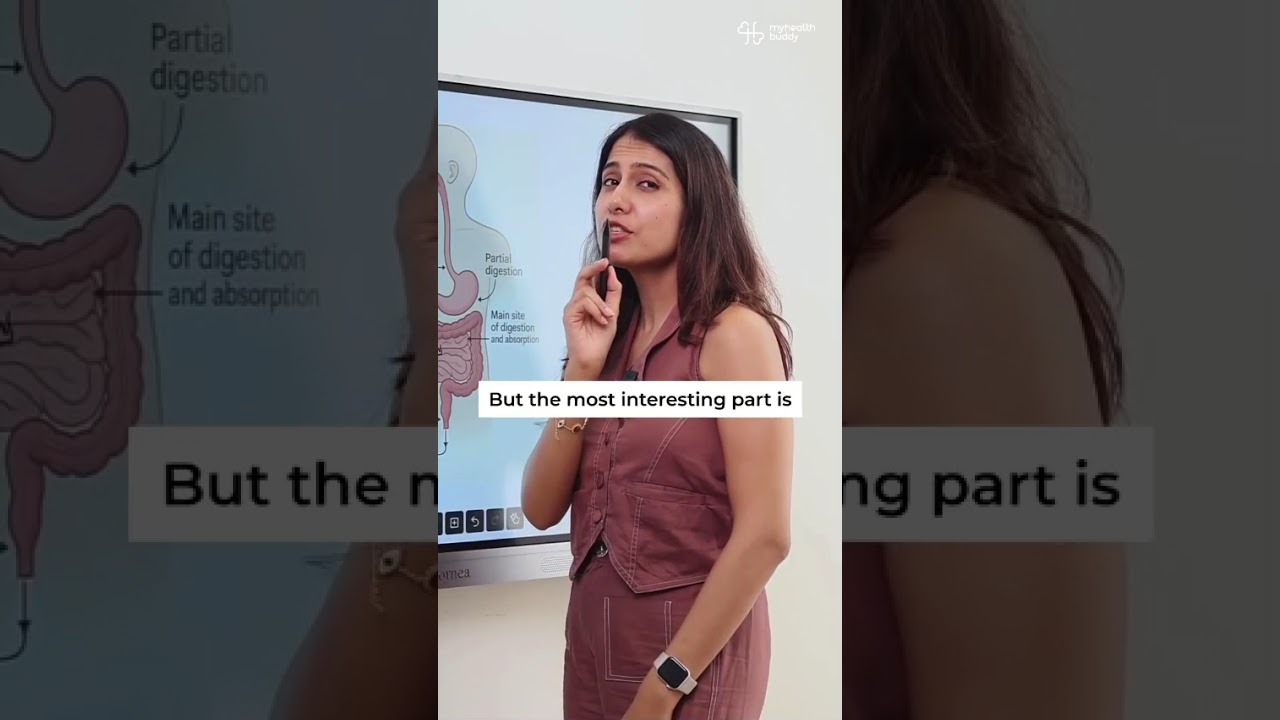 Maida: The Real Truth Behind Refined Flour 🍞 | Myths vs Facts