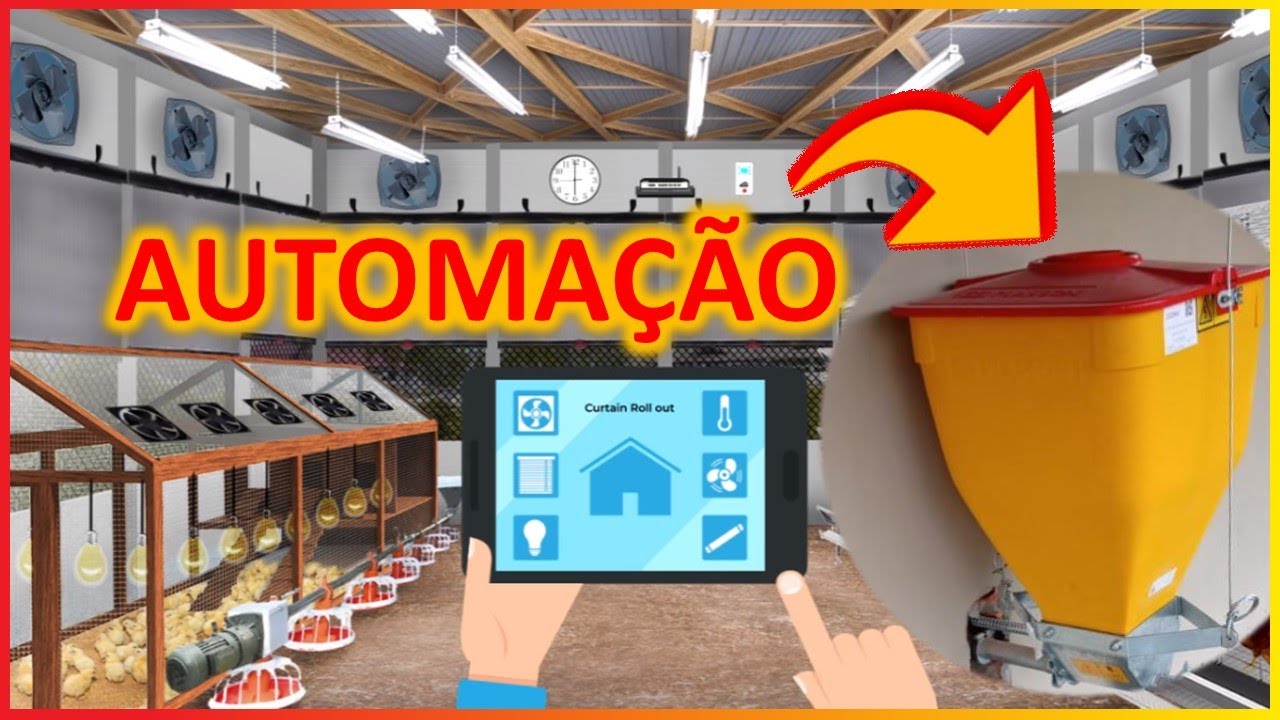 AUTOMAÇÃO em granjas de pequeno porte: tecnologia para diminuir a dependência da mão-de-obra
