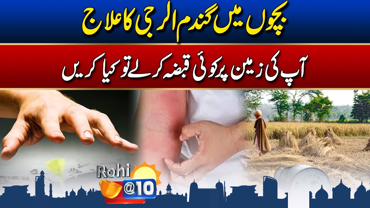 How to Get Your Property Back Legally - Child Wheat Allergy Treatment | Rohi@10 | 12 Jan 2026 | Rohi