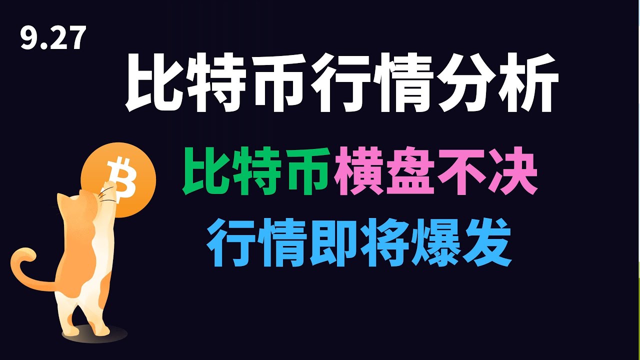 比特币价格逆势回升，激发投资者热情！