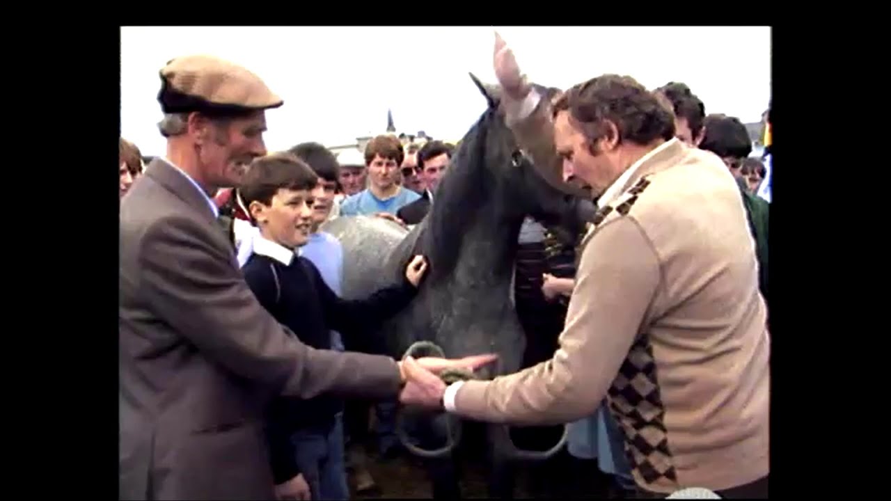Ballinasloe Horse Fair, Co. Galway, Ireland 1985