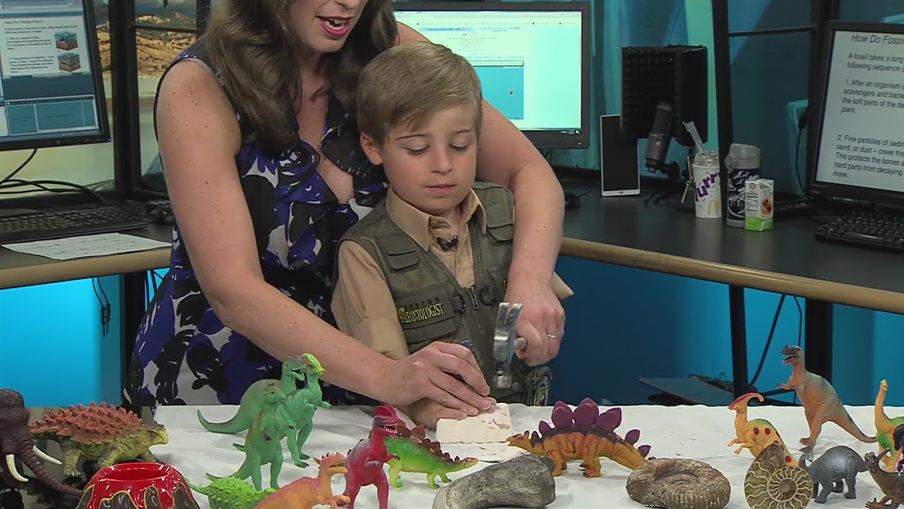 Kid Science Live: Excavating fossils