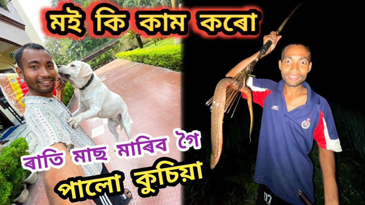 মই কি কাম কৰো ! ৰাতি মাছ মাৰিব গৈ পালো কুচিয়া 😍