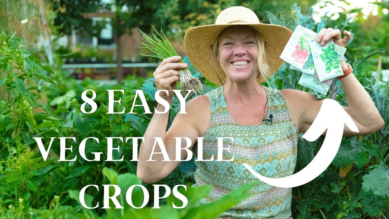 8 Easy Vegetable Crops To Grow In September