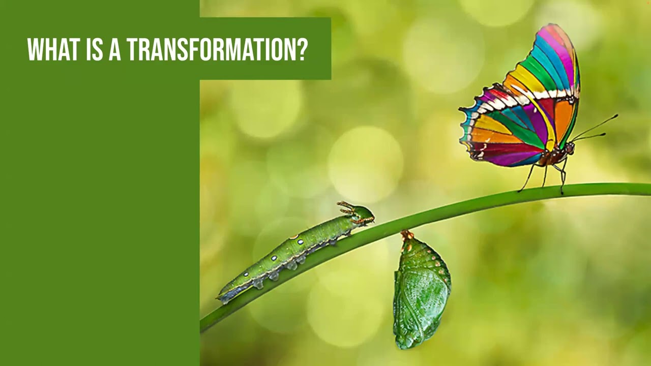 WTF! Why Transformations Fail!...and how to avoid it with Matt Barcomb - September 2023 - PhillyXP