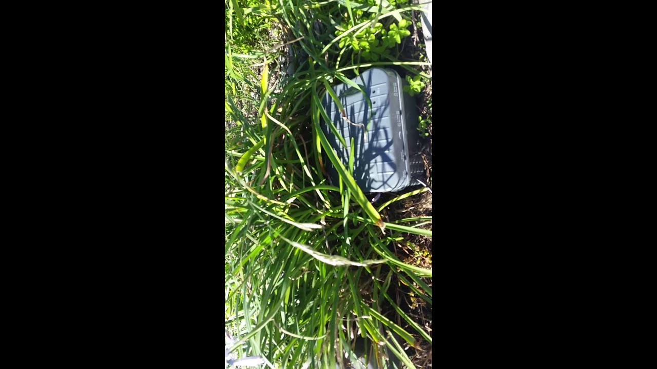 Solar Pond Pump