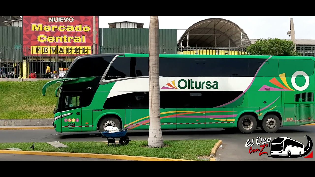 Buses en El Terminal de Plaza Norte
