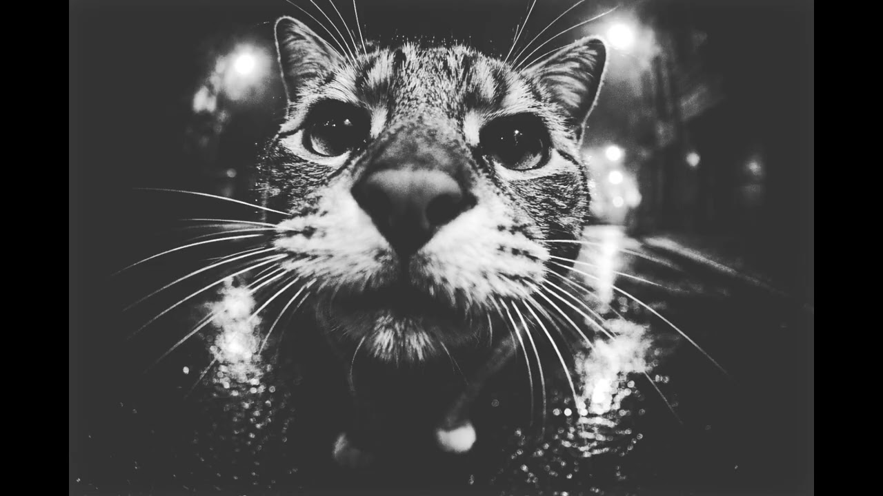 No Witnesses – Underground Boom Bap Beat | Soulful Hip Hop Instrumental