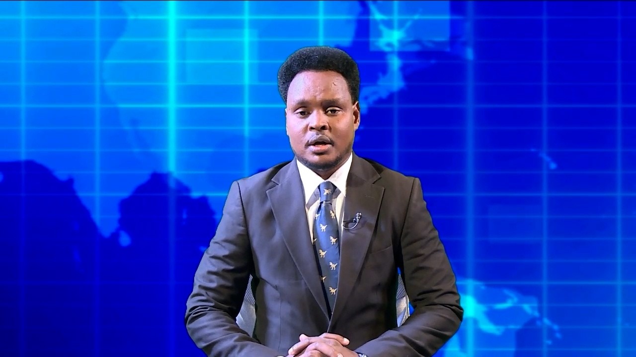 Warka Universal TV 01 03 2026