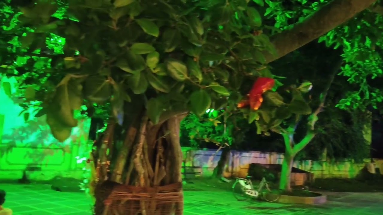 Kankalitola,Birbhum