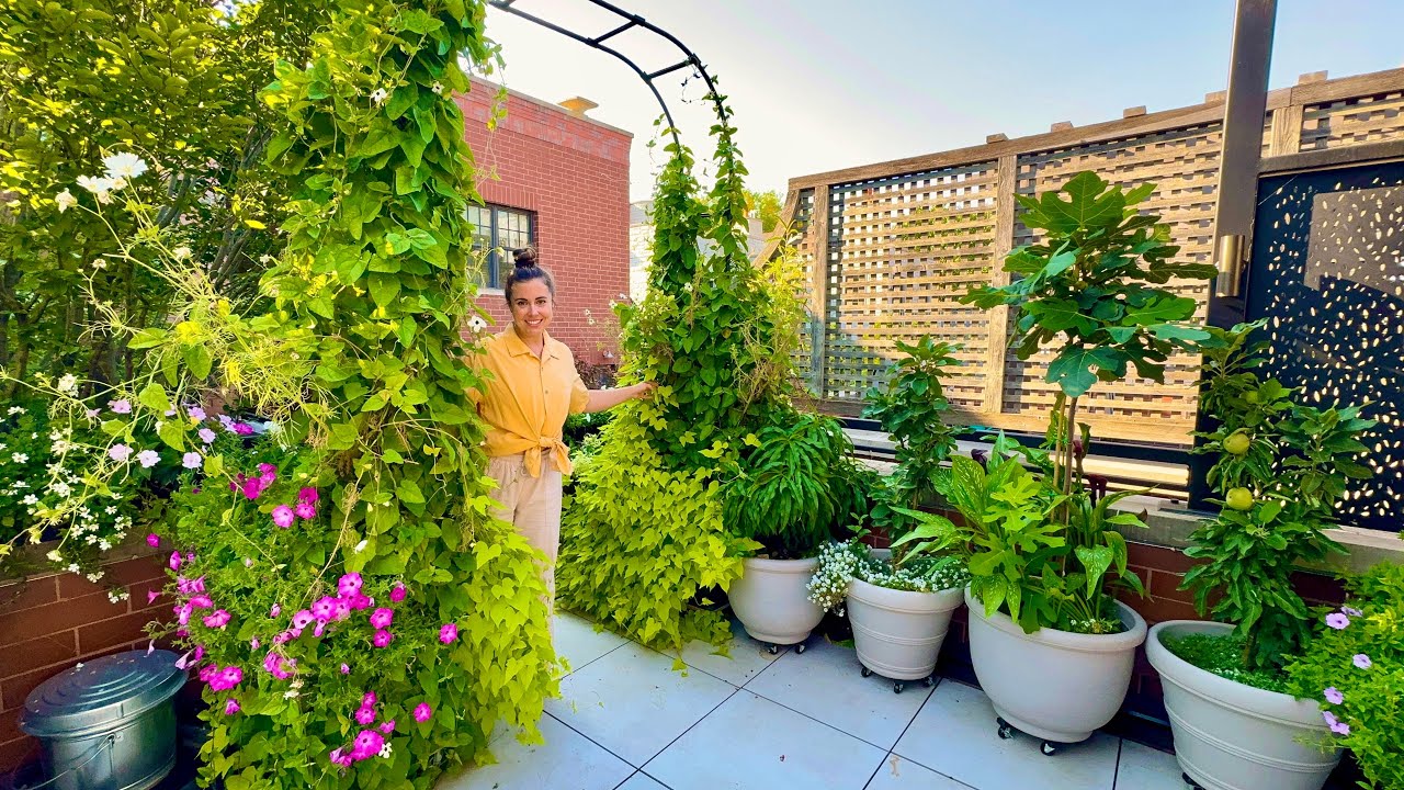 Late Summer Garage Deck Garden Tour 🪴Container Fruit Trees, Arches & More!