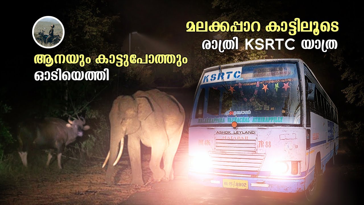 Malakkappara Bus Trip | കാട്ടിലൂടെ രാത്രി KSRTC യാത്ര | Athirappally | Vazhachal | Valparai | free20