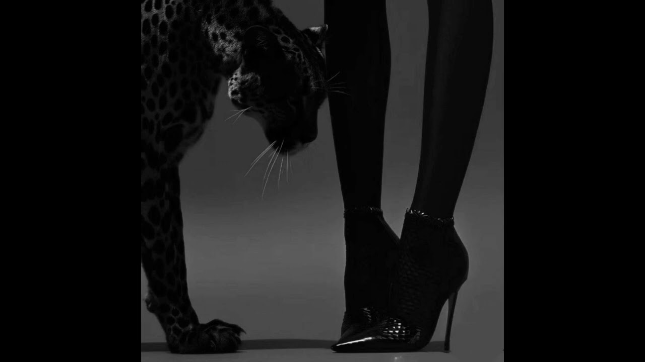 [FREE]  TRAP TYPE BEAT - 'STILLONPILLS' | DARK TRAP INSTRUMENTAL 2026