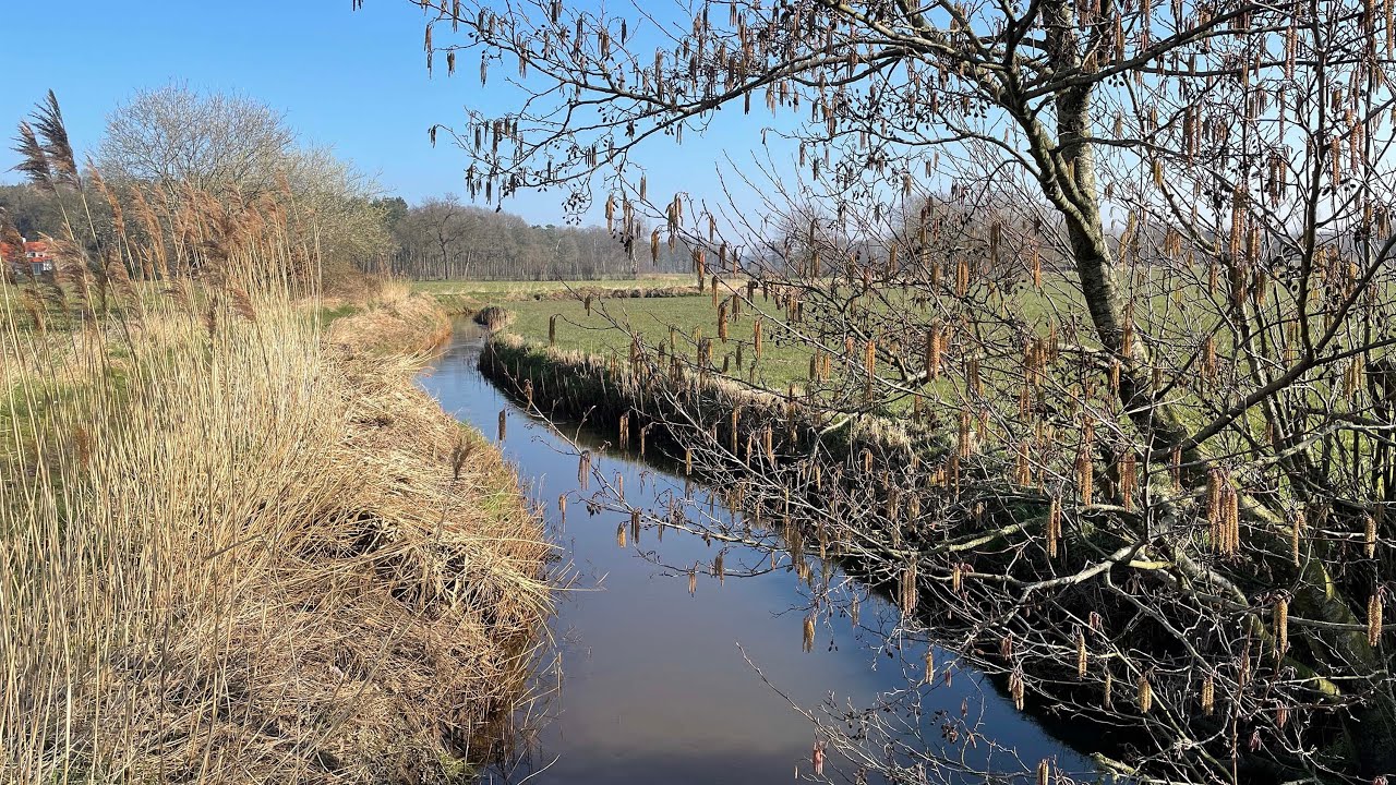 Wandelen rondom Poppel (B)