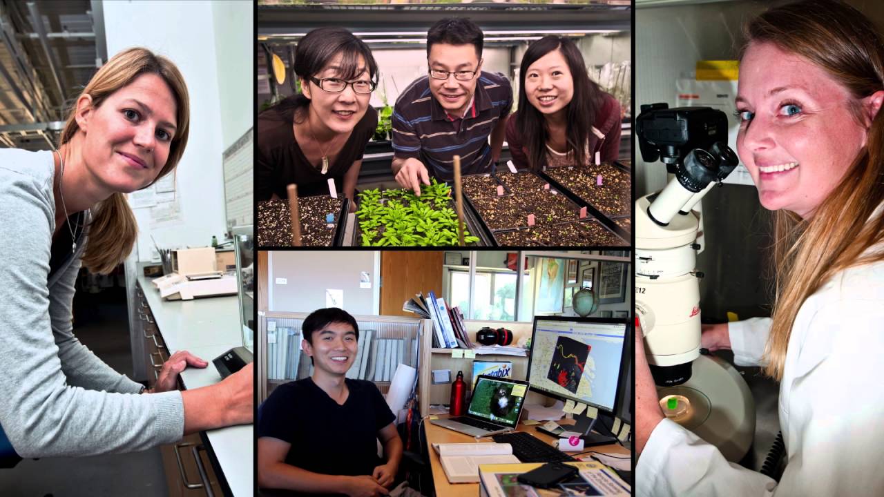 Космос, Земля, жизнь &mdash; Институт науки Карнеги (полная версия)