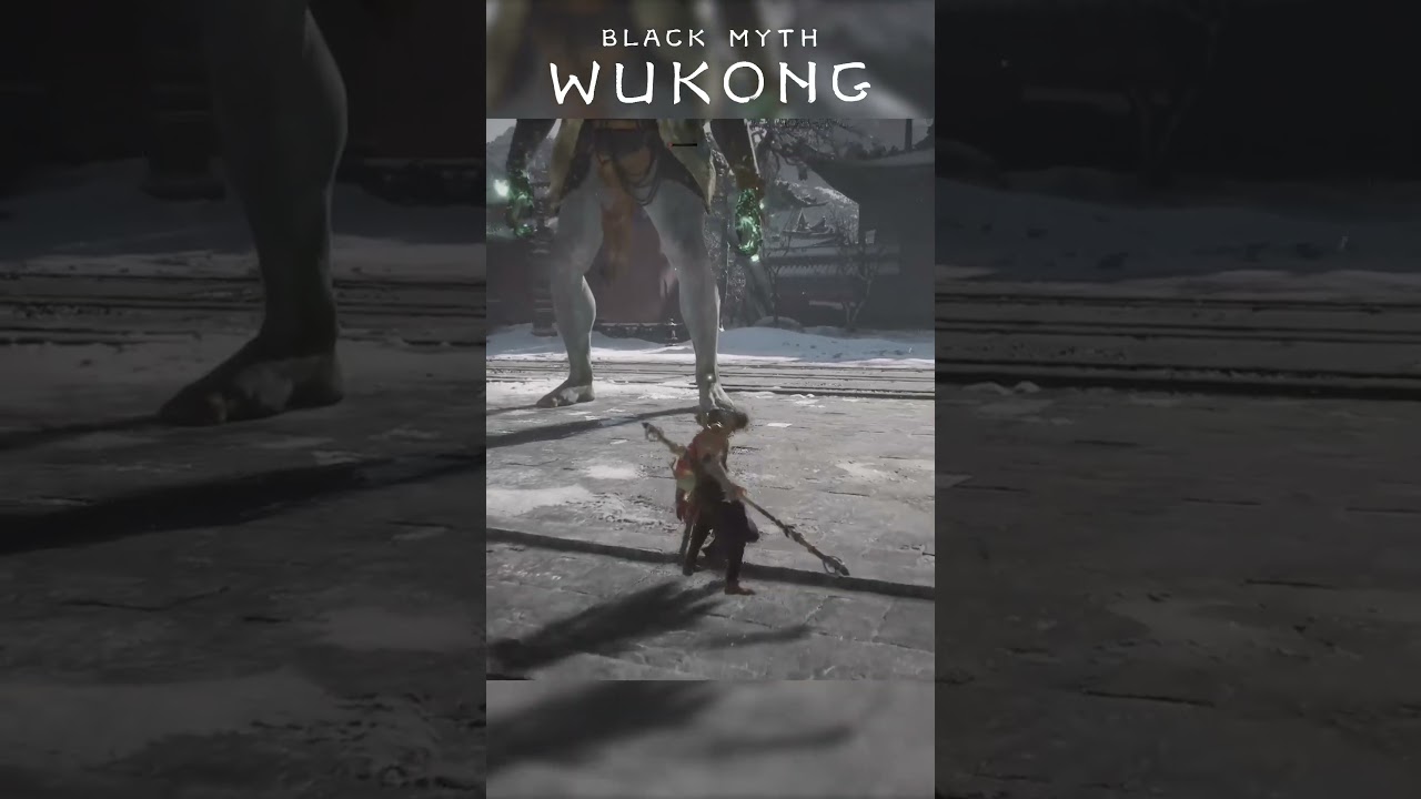 Black myth wukong... 