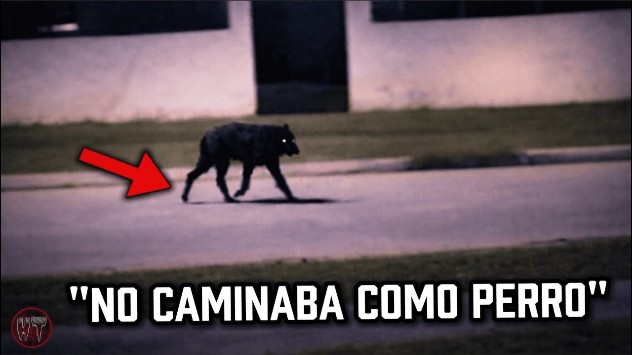 LAS APARICIONES REALES MAS IMPRESIONANTES DEL LOBIZON CAPTADAS EN CAMARA