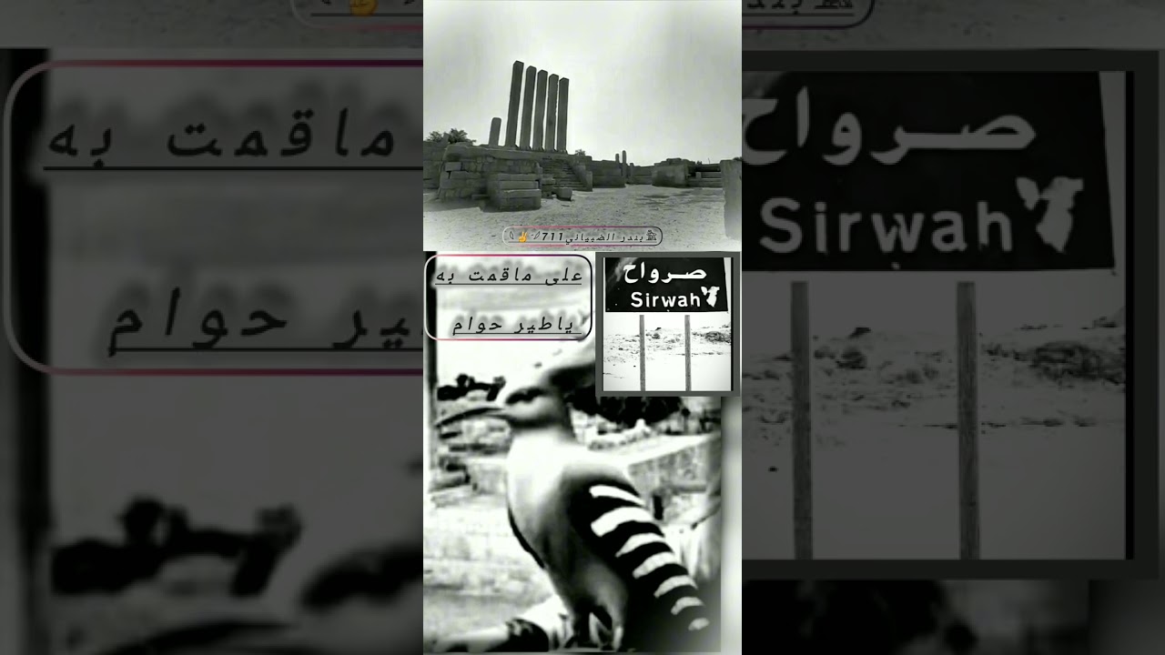 #وفي حب الشرف ماشي محرم على سنةمحمد نهج الاسلام جديدابوعسكرلاتنسى لايك_واشتراك_بالقناةليصلك_كل_جديد