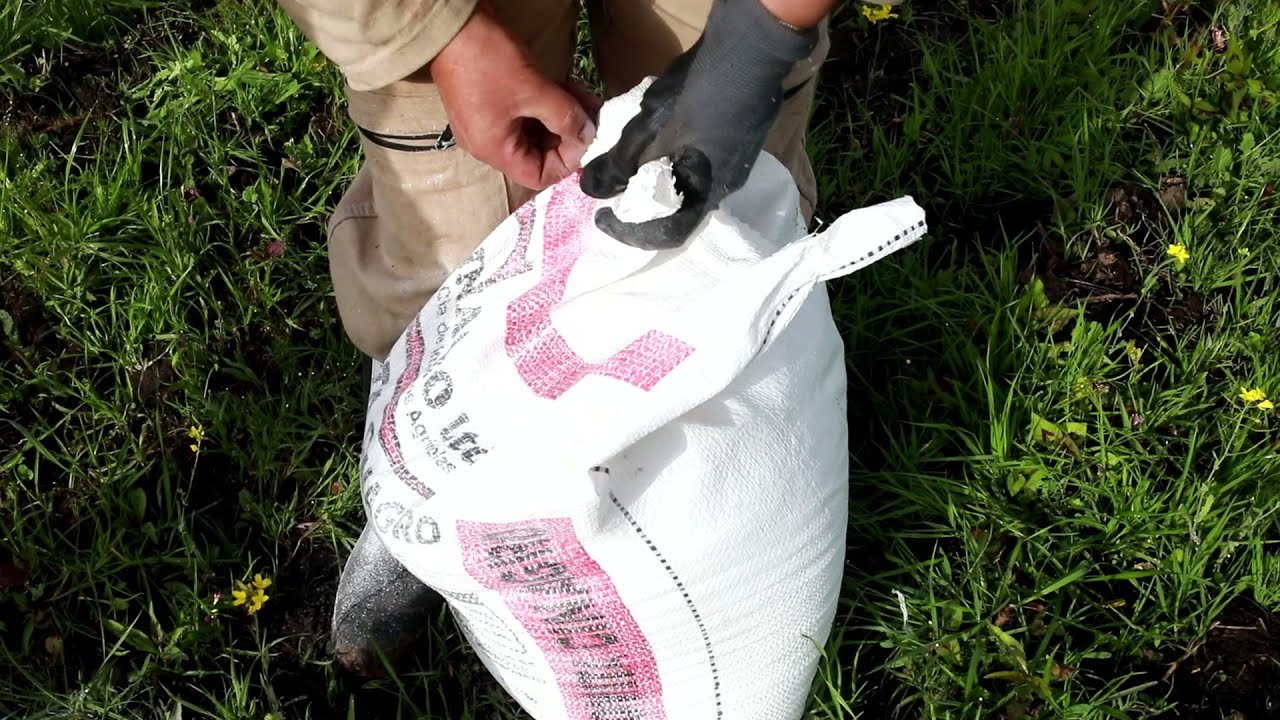 Uso de fertilización y enmiendas en renovación de praderas - AGROSAVIA