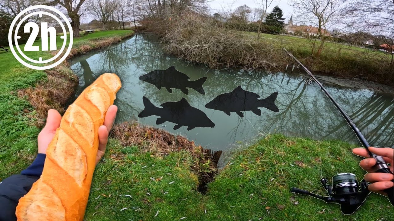 2H pour PÊCHER une CARPE au PAIN dans la PETITE RIVIÈRE à côté de chez moi !