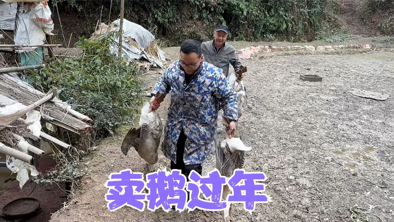 老爸养的大鹅都被朋友们定完了，扬言明年要多养些，阿恋也备年菜