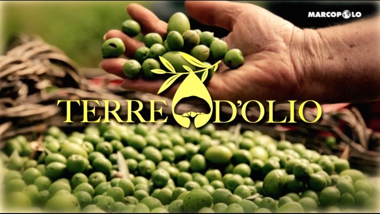 01 Terre d'Olio - Castelvetrano