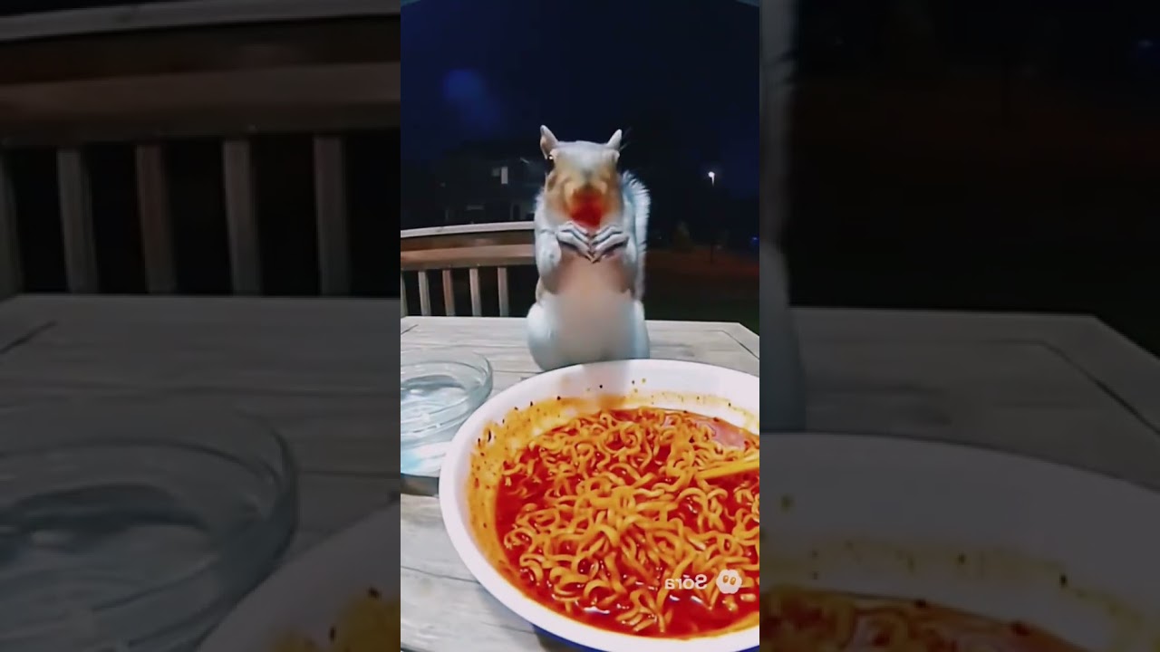 So animals can&rsquo;t eat spicy foods #food #fypage #mukbanginternational #mukbang #cooking #foodhumor