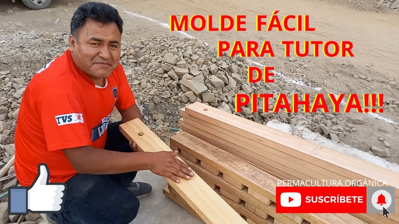 PREPARACIÓN DE MOLDE PARA TUTOR DE PITAHAYA