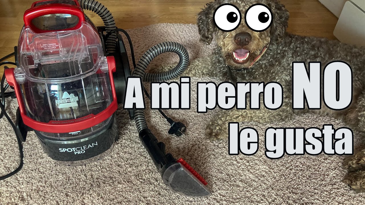 Primer uso de la Bissell Spotclean PRO - Aspiradora de líquidos.