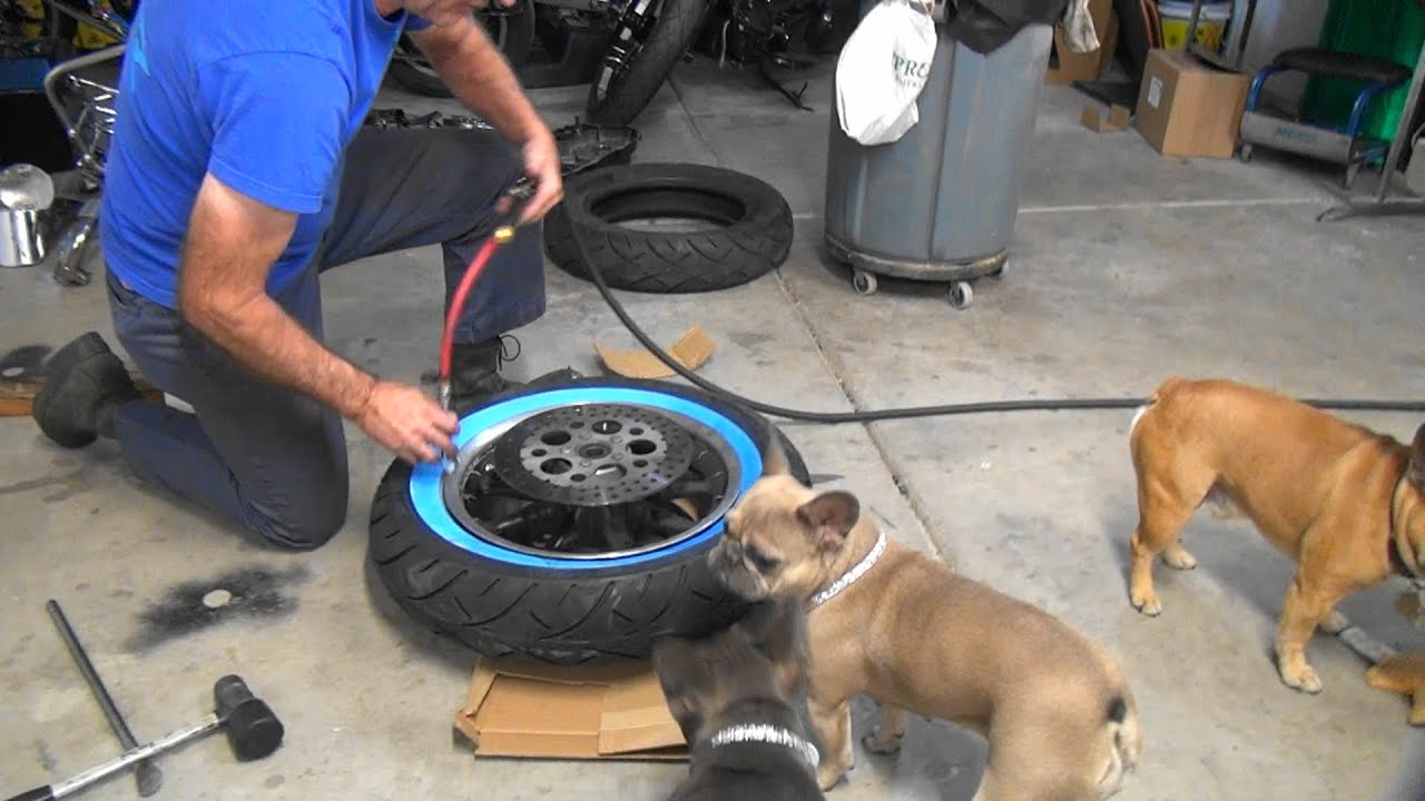 #108 2004 road turd topend trans rebuild rear belt change FLHT twincam touring harley tatro machine