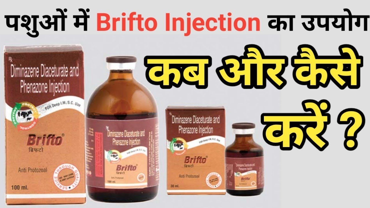 Brifto (Diminazene diaceturate,phenazone) injection uses in veterinary medicine @VeterinaryFarm