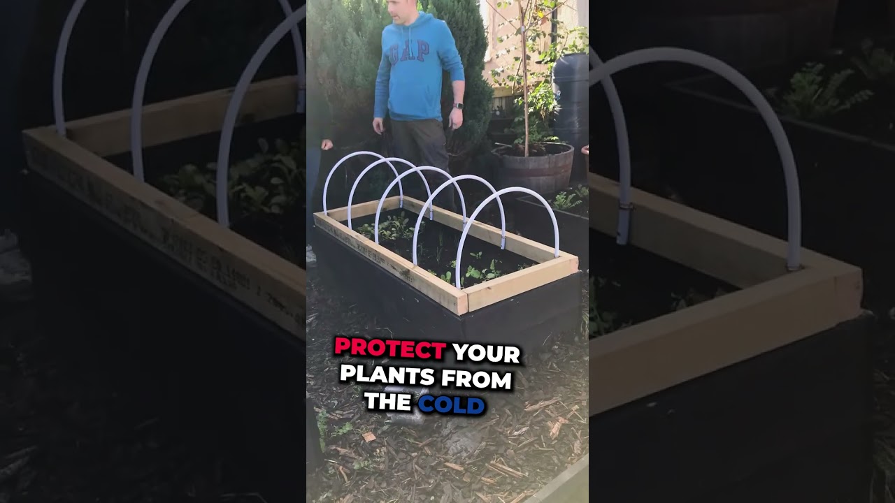 Winter is coming - protect your plants and extend the growing season