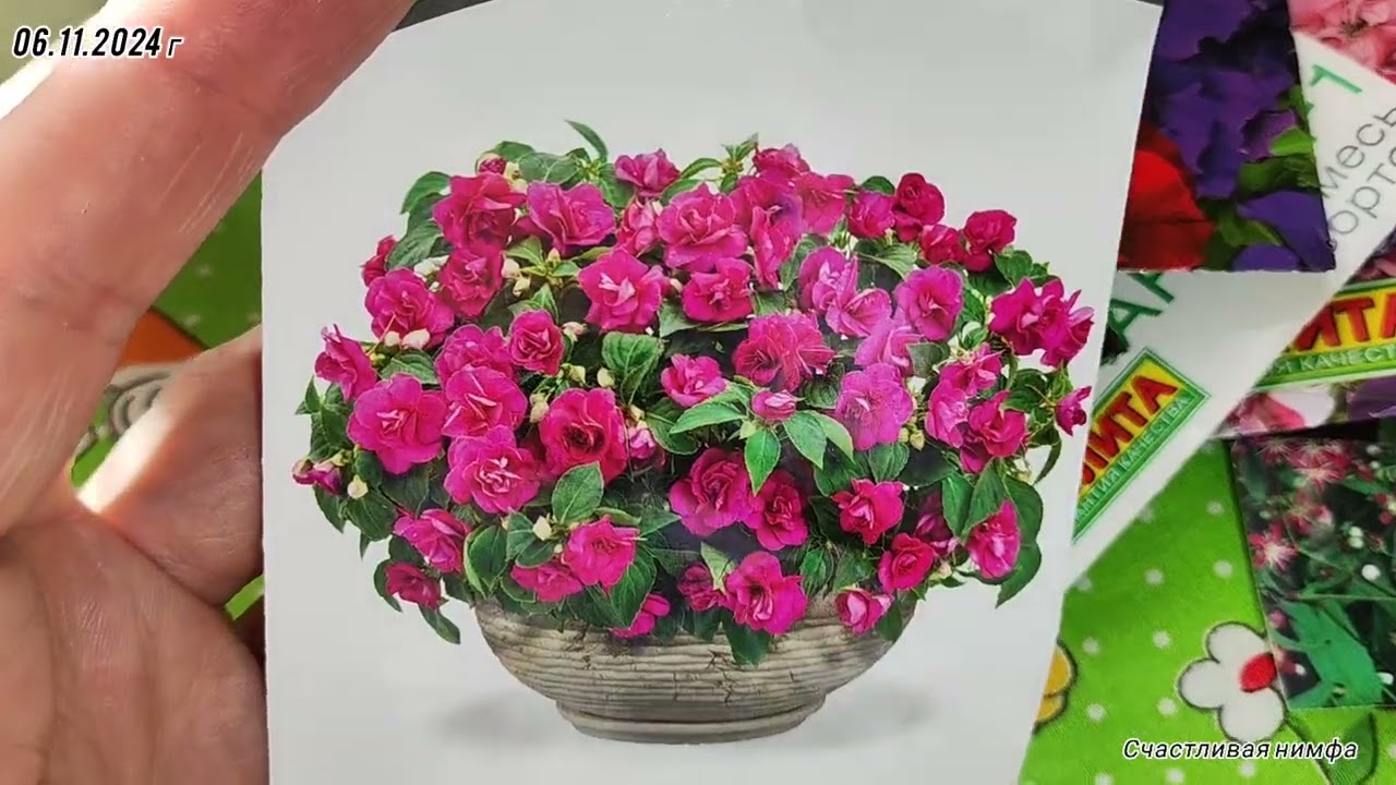 Обзор семян комнатных и садовых цветов🤗Сын пожелал всем вам добра🥰🧚‍♀️