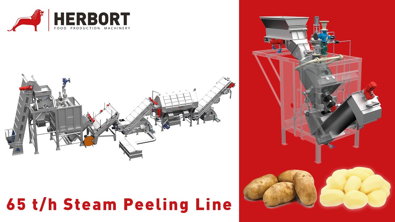 65 t/h Potato Steam Peeling Line I Herbort