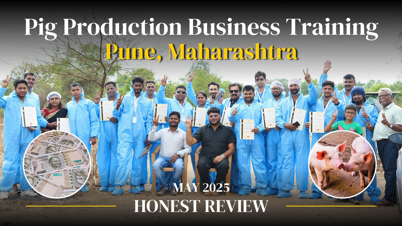 Commercial Pig Farming Training Reviews MAY 2025 