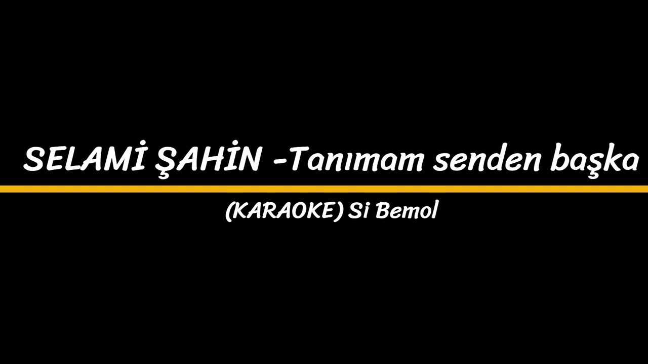 SELAMİ ŞAHİN - Tanımam senden başka (KARAOKE)