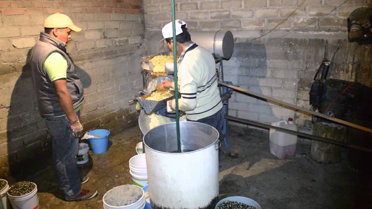 What makes the best tortillas in Mexico?