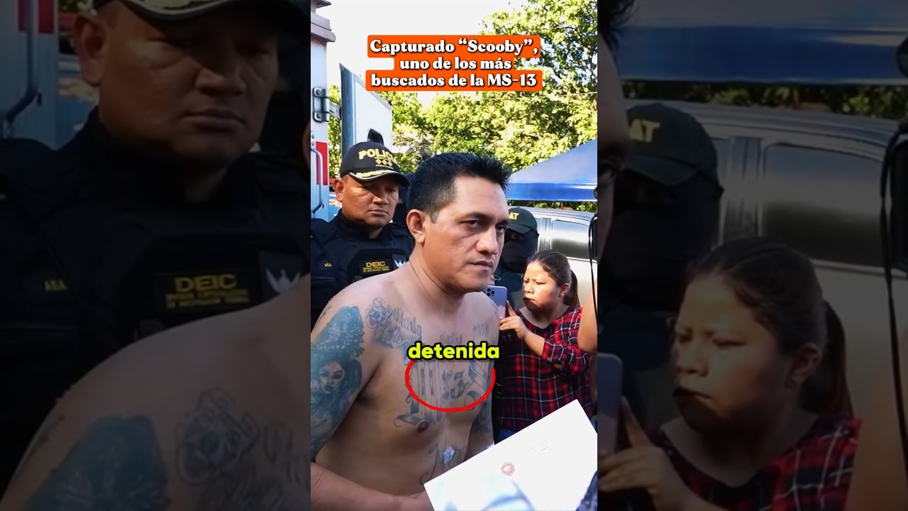 Capturado &ldquo;Scooby&rdquo;, uno de los m&aacute;s buscados de la MS-13  #cecot  #nayibbukele #guatemala